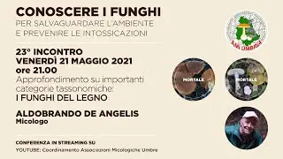 Approfondimento sui funghi del legno, con Aldobrando De Angelis
