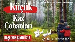 KÜÇÜK KAZ ÇOBANLARI