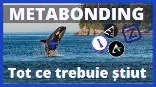 🐳🤔 8 &icirc;ntrebări (și răspunsuri) despre MetaBonding pe Maiar Exchange
