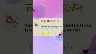 3 Question True or False Trivia Quiz, #shorts