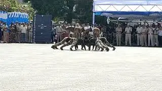 CISF DOG SQUAD DEMO BANGLORE AIRPORT