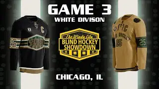 GAME 3 (WHITE DIVISION) | Windy City Blind Hockey Showdown III