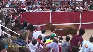 Tv Santacara - 19/08/2019 - Fiestas - Capea