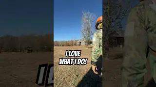 Multiple Tree Removals On One Property - Timelapse