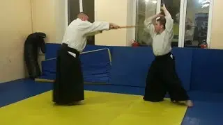 Aikido kenjutsu suburi uke nagashi and uchikomi