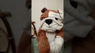 Чтобы я не стал звездой#юмористы@Тролик вещает