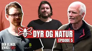 Den Blinde Vinkel - Dyr & Natur