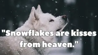 [Snow] Famous quotes related to snow or snowflakes that may evoke a sense of wonder and beauty