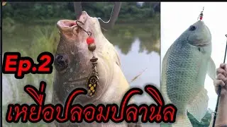 EP.2 เหยื่อปลอมปลานิล 📌สนใจสินค้า ID  NSTYD99  #มีบริการเก็บเงินปลายทาง