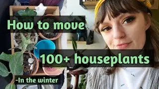 💚 How to move 100+ house plants 💚 specifically in winter