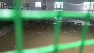 Recirculating aquaculture system (RAS )  Murrel Fish Farming