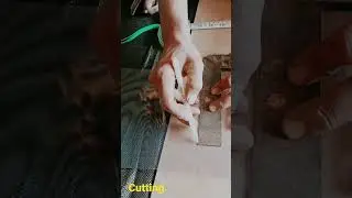 PVC Strip Curtain, strip cutting