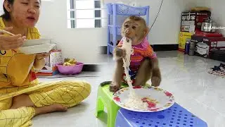 Litt Donnal Hungry He Take Noodle For Mom Cook, Donal So Much Like Noodle