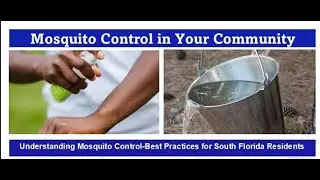 Mosquito Control in Your Community