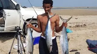 صيد بحر الطرفه ((ضيرك))