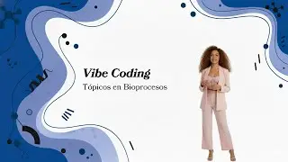 05. Vibe coding
