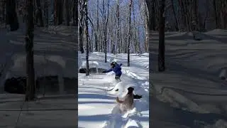 Almost hit my dog while riding the pillows #backcountry #powder #snowboard