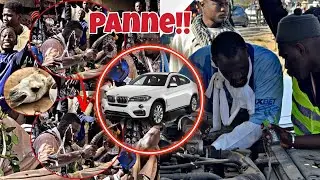 ‼️Ho Ndeysane TALFA atteint Mystiquement-Xolal Auto bi si Bountou Satde bi la panne-Signe bi bakhoul