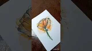 Aesthetic Flower#shorts #trendingonshorts #aesthetic #aestheticdrawing #aesthetics #aestheticdesign