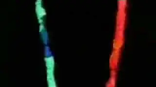 BOOGIE (Paolo Conte)