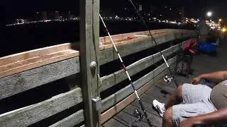 Pier Fishing Off The Atlantic (Virginia Beach, VA)