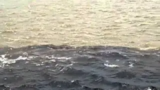 The Meeting of the Waters (Brazil)