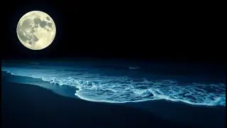 10 Hours of Ocean Wave Ambience for Sleep, Meditation & Total Relaxation