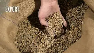 Uplanders Brew Coffee Co. A coffee co owned by Upland Uplanders
