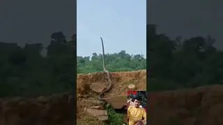 shiv tandav stotram #tiktok #youtubeshorts #viral #shortvideo #cartoon #bhoot #accha #shorts #snake