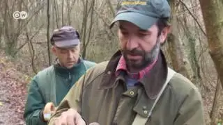 La guerra de las trufas blancas en Italia | Enfoque Europa
