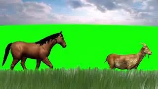 New 3d animals stampede with beautiful nature #green screen #stampede#chroma