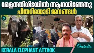 തിരുനായത്തോട് ശിവനാരായണ ക്ഷേത്രത്തിലാണ് സംഭവം | Kerala Elephant Attack