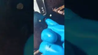 Easy BBQ Cleaning Viral CleanTok Product