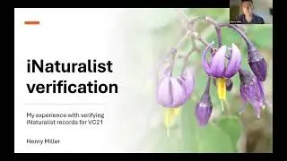 Проверка записей iNaturalist