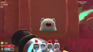 Slime Rancher: Tabby gordo location and gold slime fail