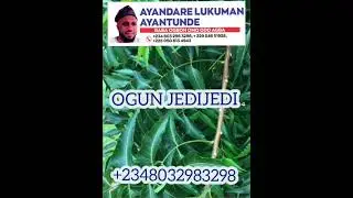 OGUN JEDIJEDI TODAJU +2348032983298 +2290154651928 +2250506134943 #subscribe #like