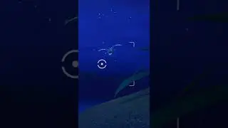 Majestic Swanna flying at night || New Pok&eacute;mon Snap