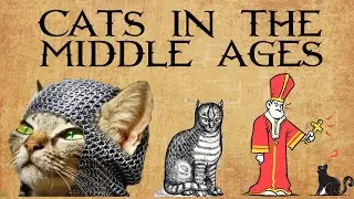 Cat in medieval times, pets in medieval times, cats in the middle ages, Why are Medieval cats weird.