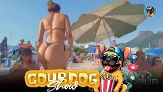 почти 15 МИНУТ ВИРУСНОГО УГАРА | СМЕШНЫЕ ВИДОСЫ 2025 | Coub Dog РУЛИТ!