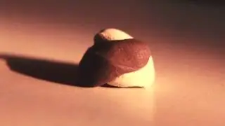 Chocolate Chips Stop Motion - (Zoe Boekbinder)