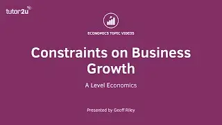 Explaining the Constraints on Business Growth I A Level and IB Economics
