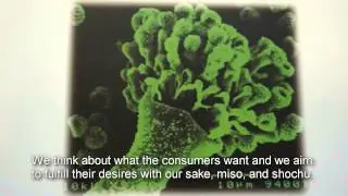 Fermented Food Culture