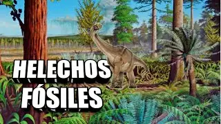 🌿 HELECHOS FÓSILES de la ANTÁRTIDA 🦖🦕🦎🐊