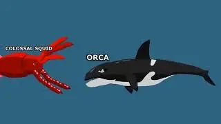 Big Fish Eat Little Fish &ndash; Guess Who&rsquo;s the Real &ldquo;Old&rdquo; One? | Survival Rule Explained