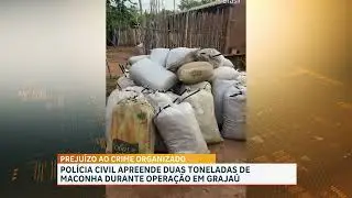 PC-MA apreende duas toneladas de maconha durante operação no município de Grajaú