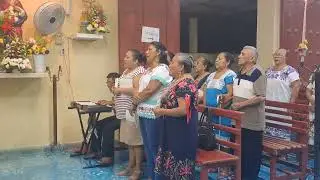 Buenas noches paloma blanca.