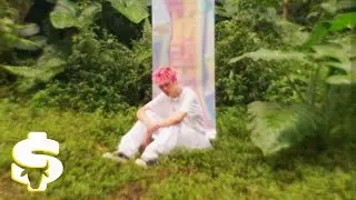 warrenisyellow - Star in Love