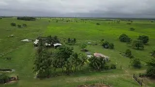 Spanish Creek Estates | 5,500 Acres of Prime Farmland & Cattle Ranch in Belize 🌴🐂