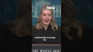 White House Press Secretary Karoline Leavitt on Trump's accomplishments