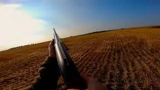 That was a poke...  Goose hunting, pass shooting.